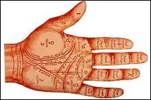 Quelle pratique divinatoire consiste  lire les lignes de la main ?