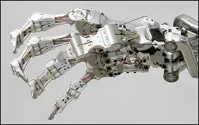 A qui cette main appartient-elle ?