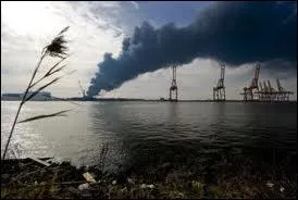 Les fumes chimiques que rejette cette entreprise nuisent beaucoup au voisinage  cause de leur :