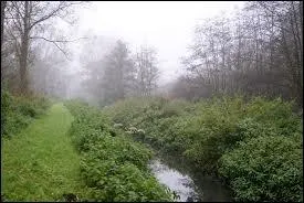 ... des petites médailles d'(... ) blanche se (... ) d'un tourbillon,