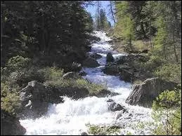 Orthographe : Mon bouchon penche sur le côté et, sous le (... ),