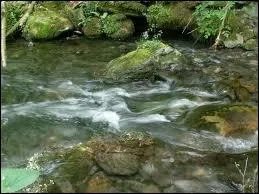 Orthographe : De (... ) en (... ) on croit voir, bien bas, au-delà des (... ),