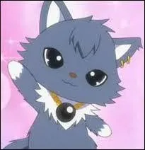 Qui est son partenaire ?