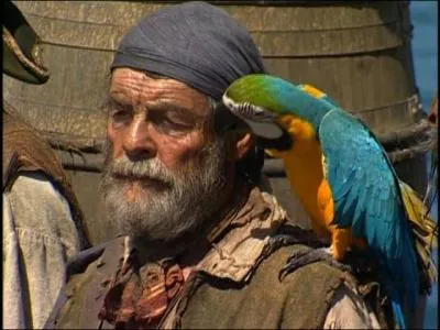 Cotton, le pirate muet, a toujours un perroquet  l'paule. Si vous tes trs attentif, vous verrez qu'en fait...