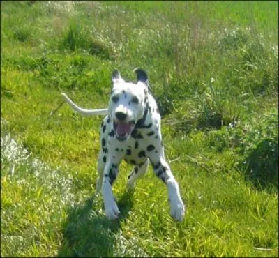 Quel est son premier mtier ?