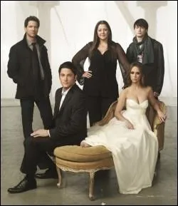 De quelle srie provient cette image ?