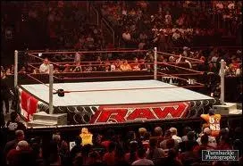 Quelles  armes  n'y a-t-il pas en dessous du ring ?