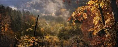 La chanson  Les Feuilles mortes , de Joseph Kosma, a t reprise en anglais (Autumn Leaves), en version disco, par ...