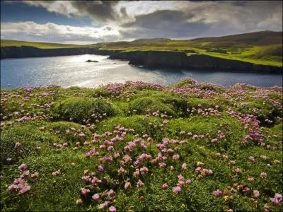 Qui a crit ce roman, Rob Roy, dont l'action se droule en Ecosse ?