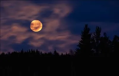 Trouvez le titre de ce film de 1973, où Luchino Visconti met en scène, entre autres, Helmut Berger et Romy Schneider !