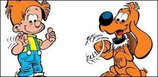 Quelle est la race du chien, du duo  Boule et Bill 