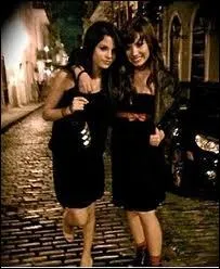 D'aprs la rumeur, Selena Gomez et Demi Lovato ne sont plus meilleures amies.