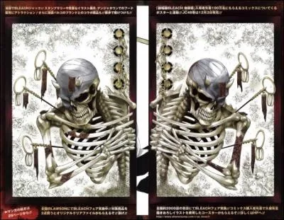 O sont envoys les hollows ayant commis des crimes graves ?