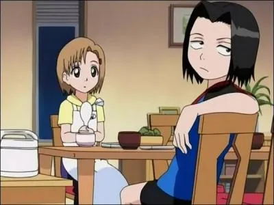 Comment s'appellent les deux soeurs d'Ichigo ?