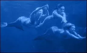 De qui est-ce l'anniversaire le jour o Will apprend que les 3 filles sont des sirnes ?