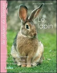 Le lapin est un rongeur...