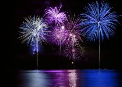 Le feu d'artifice du 14 juillet reprsente...