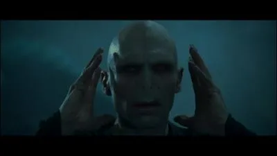 O rapparat Voldemort  la fin du film ?
