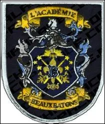 Qui est la championne de Beauxbtons ?