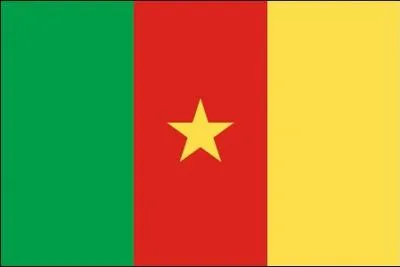 tat officiellement bilingue (franais et anglais) mais on y parle environ 200 langues.