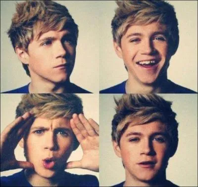 Quel est le plat prfer de Niall Horan ?