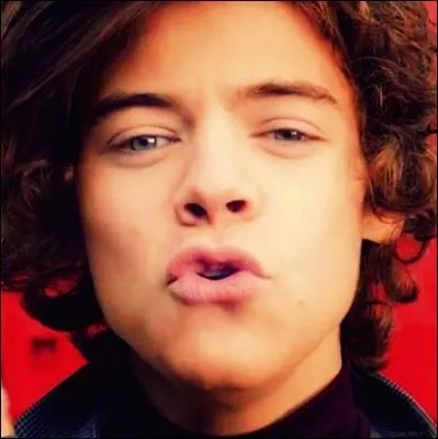 Quel est le fast food prfr de Harry Styles ?