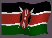 Que reprsente l'image, du drapeau du Kenya ?