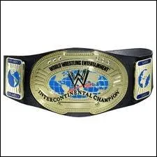 Qui est l'actuel champion intercontinental ?