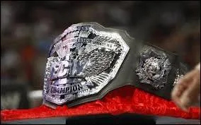 Qui a t le dernier champion de la ECW ?