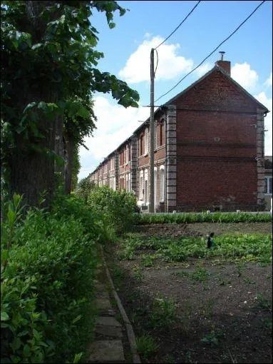 Nos foyers accueillants ne sont pas loin des terrils et surtout situs dans ...