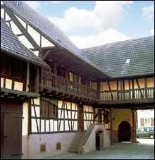 Avec un peu de chance vous croiserez de beaux chassiers noirs et blancs ainsi que nos maisons, qui se trouvent ...