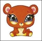 Comment s'appelle le petit ours de Musa ?