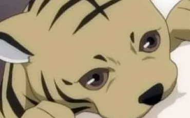 Quiz Fruits basket