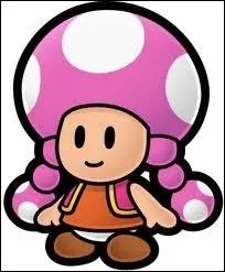 A qui appartient ce personnage ?