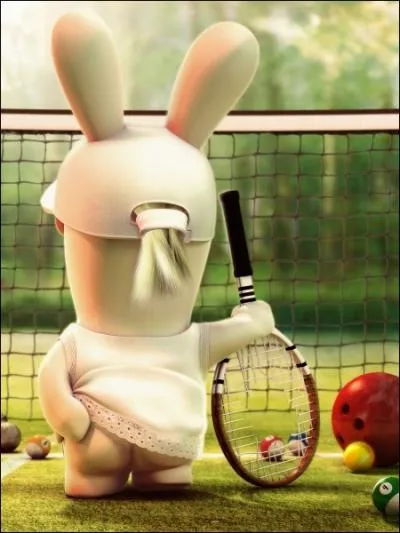 Que fait ce Lapin Crtin ?