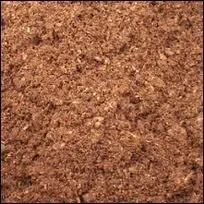 Quel substrat convient pour une plante carnivore ?