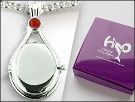 A qui appartient ce mdaillon ?