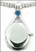 A qui appartient ce mdaillon ?