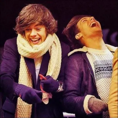 Harry voudrait que son premier enfant s'appelle...