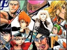 C'est Kisuke Urahara qui a commenc l'tude sur la hollowmorphose (cration des Vizards).