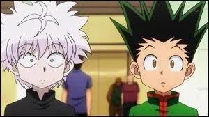 On peut fusionner deux types de Nen dans une seule attaque.