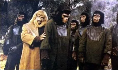 En 1968, Charlton Heston, tourne dans  La Plan�te des singes . Que d�couvre-t-il dans la derni�re sc�ne du film ?
