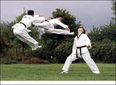 En quelle anne, le taekwondo apparat-il au programme officiel, des Jeux olympiques ?