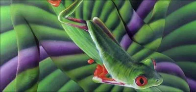 Sur celle-ci, vous noterez la prsence ...