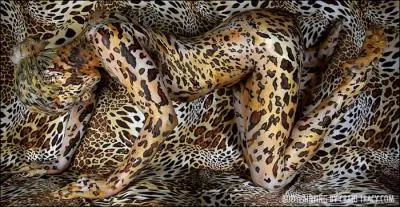 Un homme, Dennis Avner, a dcid de se faire transformer la figure en tte de flin grce  la chirurgie et au tatouage !