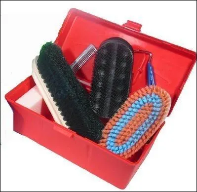 Quel brosse passe-t- on en 1er lieu ?