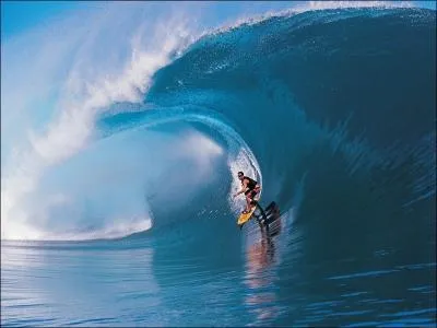 Quel surfeur a t 11 fois champion du monde de surf ?