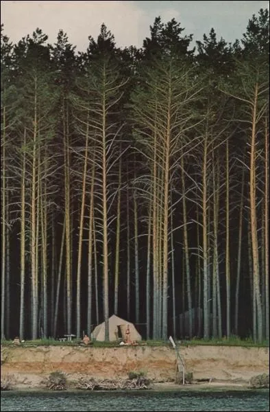 C'est les vacances : le moment idal pour camper, au milieu de nulle part, de respirer l'odeur des pins, de vivre au rythme de la nature... D'o vient le mot Camping ?