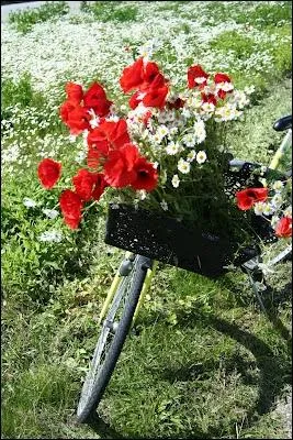 C'est les vacances : l'occasion de dcouvrir le monde  vitesse humaine, avec son vlo, la brise sur le visage, en fredonnant  La bicyclette , la jolie chanson de... ?