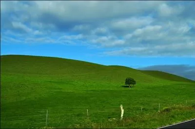 C'est les vacances : l'occasion de se servir de ses yeux pour voir, vraiment voir et apprcier le moindre cm2 du paysage qui nous entoure, ces crations de la nature. Quand est ne la photographie ?